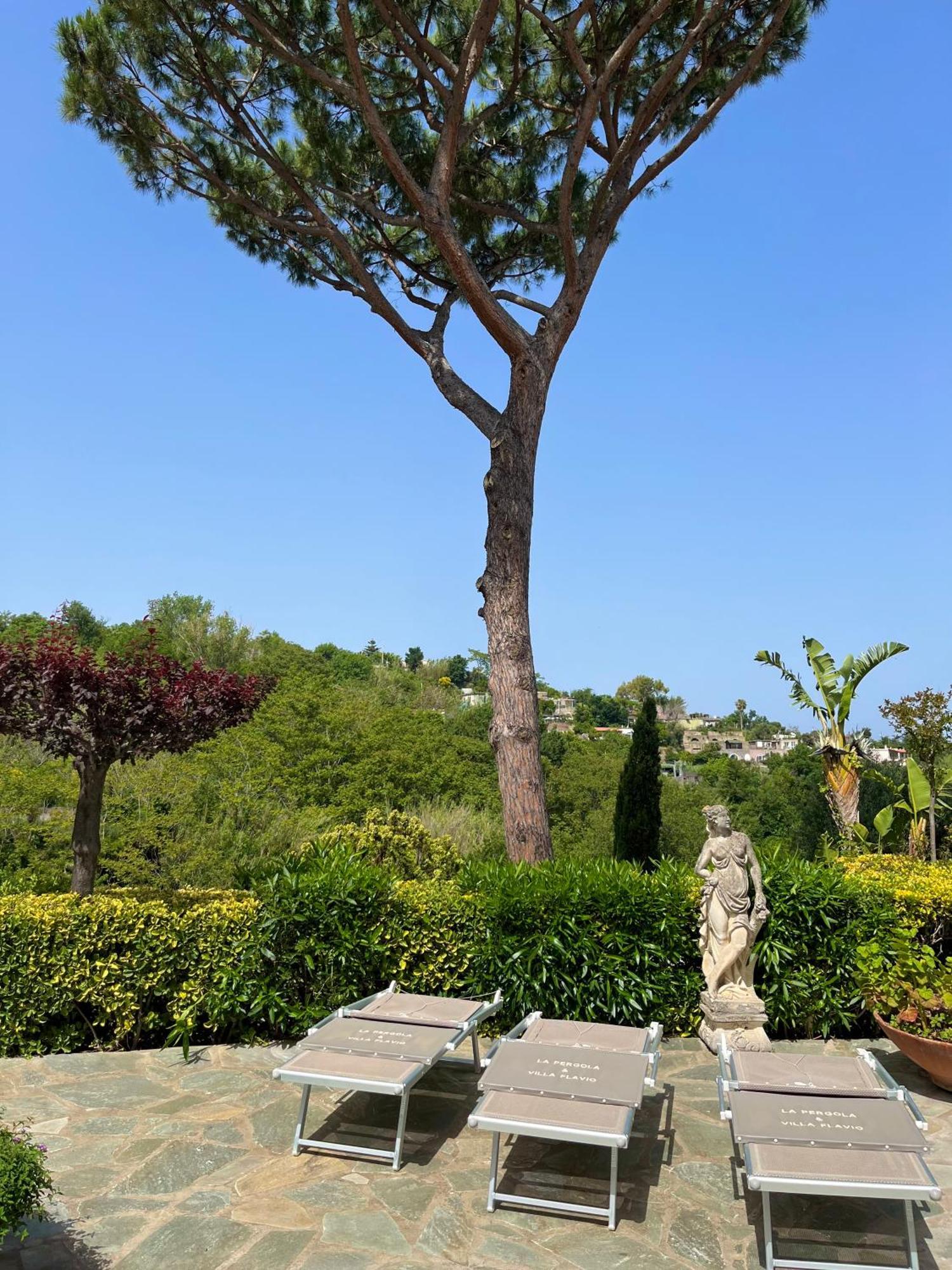 Resort Villa Flavio Casamicciola Terme Dış mekan fotoğraf