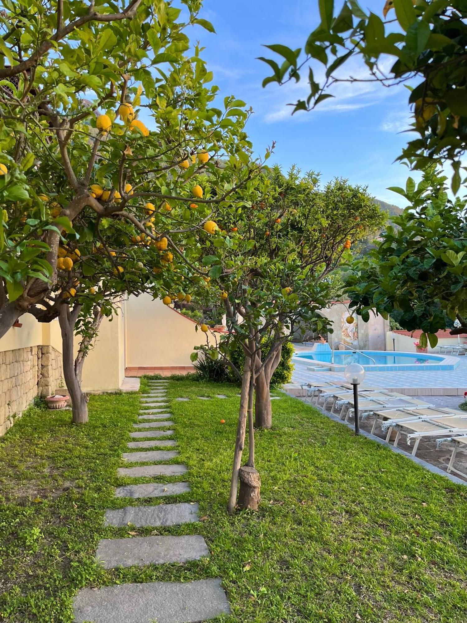 Resort Villa Flavio Casamicciola Terme Dış mekan fotoğraf