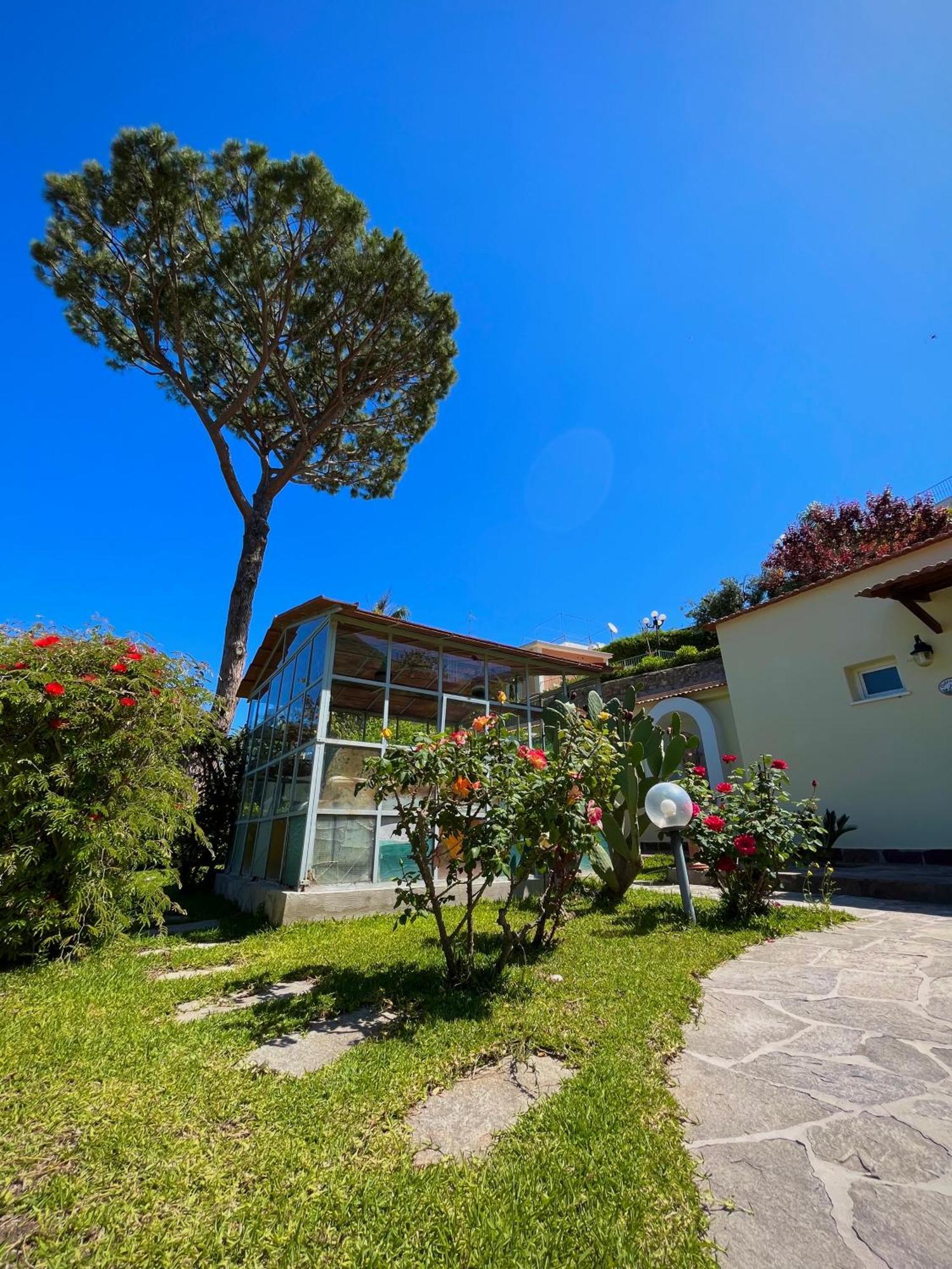 Resort Villa Flavio Casamicciola Terme Dış mekan fotoğraf