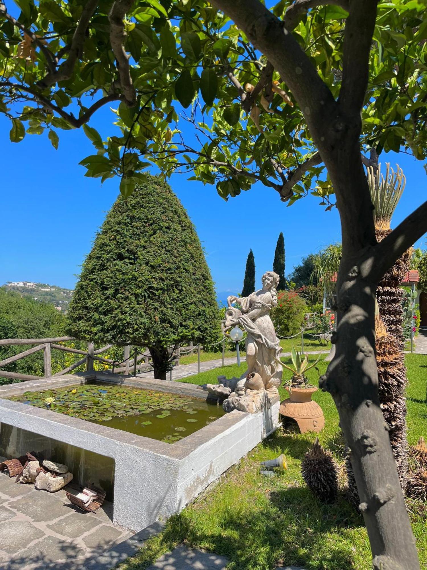 Resort Villa Flavio Casamicciola Terme Dış mekan fotoğraf