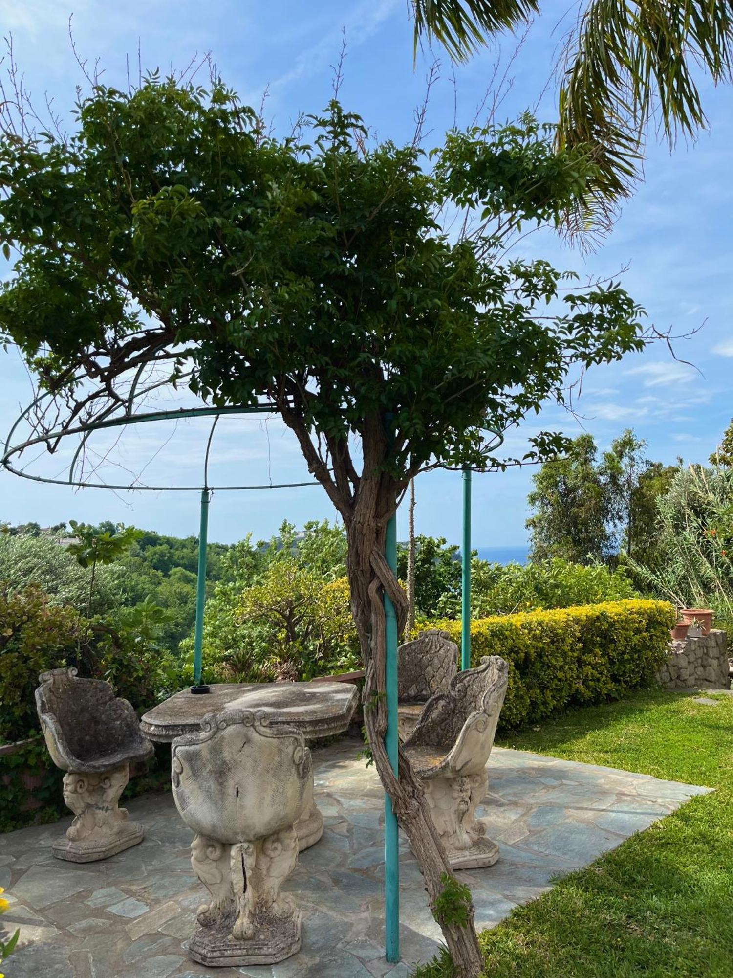Resort Villa Flavio Casamicciola Terme Dış mekan fotoğraf