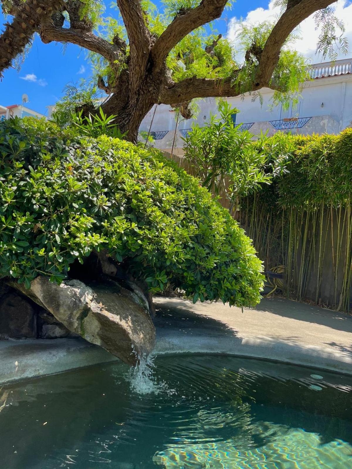 Resort Villa Flavio Casamicciola Terme Dış mekan fotoğraf