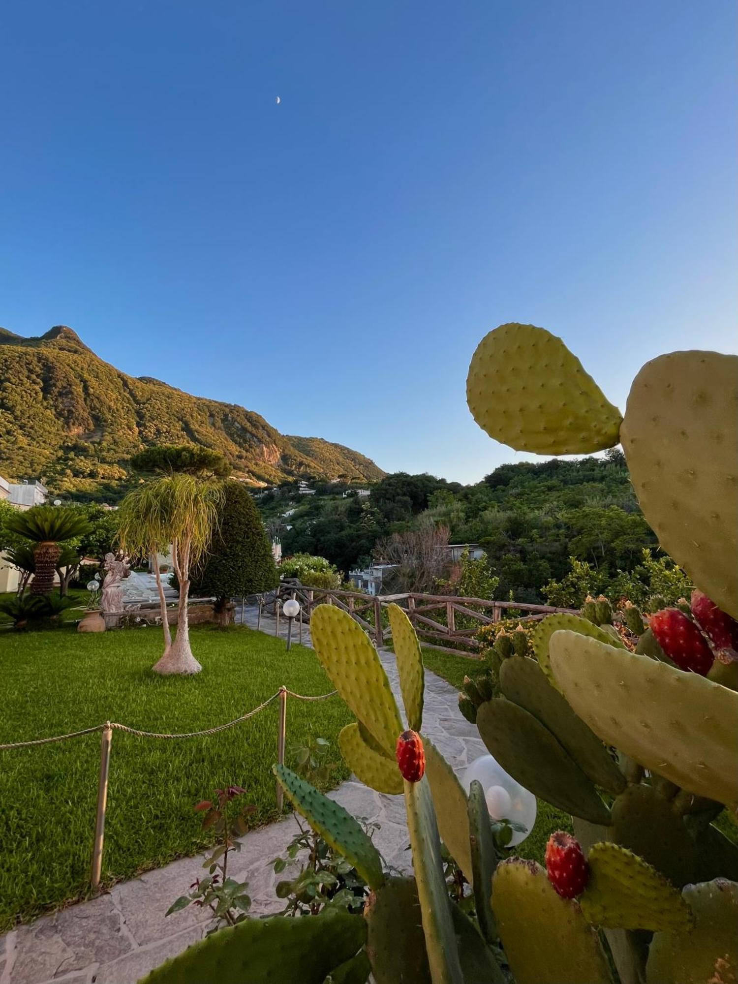 Resort Villa Flavio Casamicciola Terme Dış mekan fotoğraf