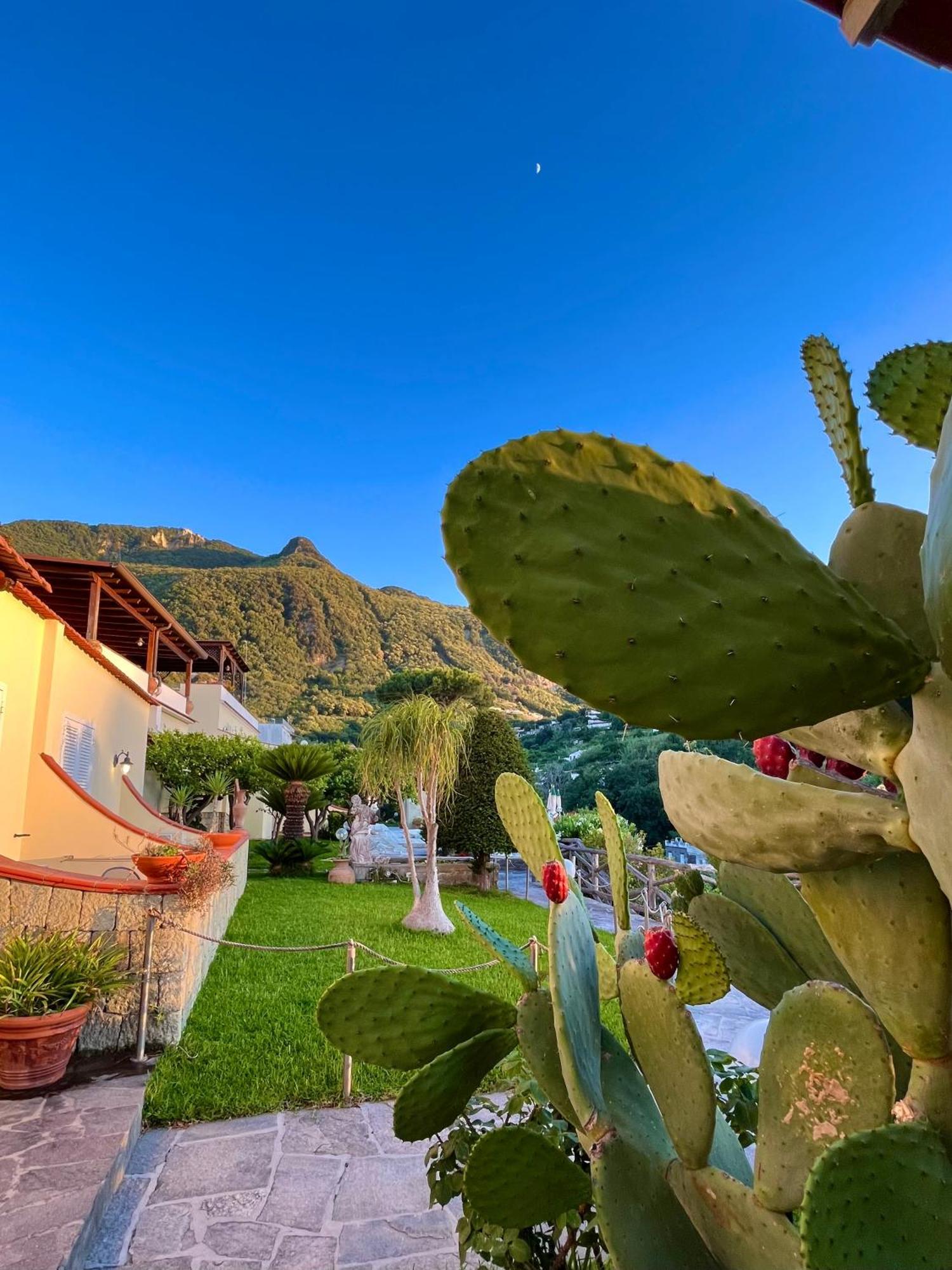 Resort Villa Flavio Casamicciola Terme Dış mekan fotoğraf