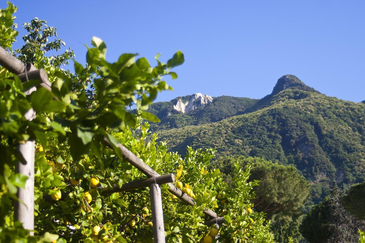 Resort Villa Flavio Casamicciola Terme Dış mekan fotoğraf
