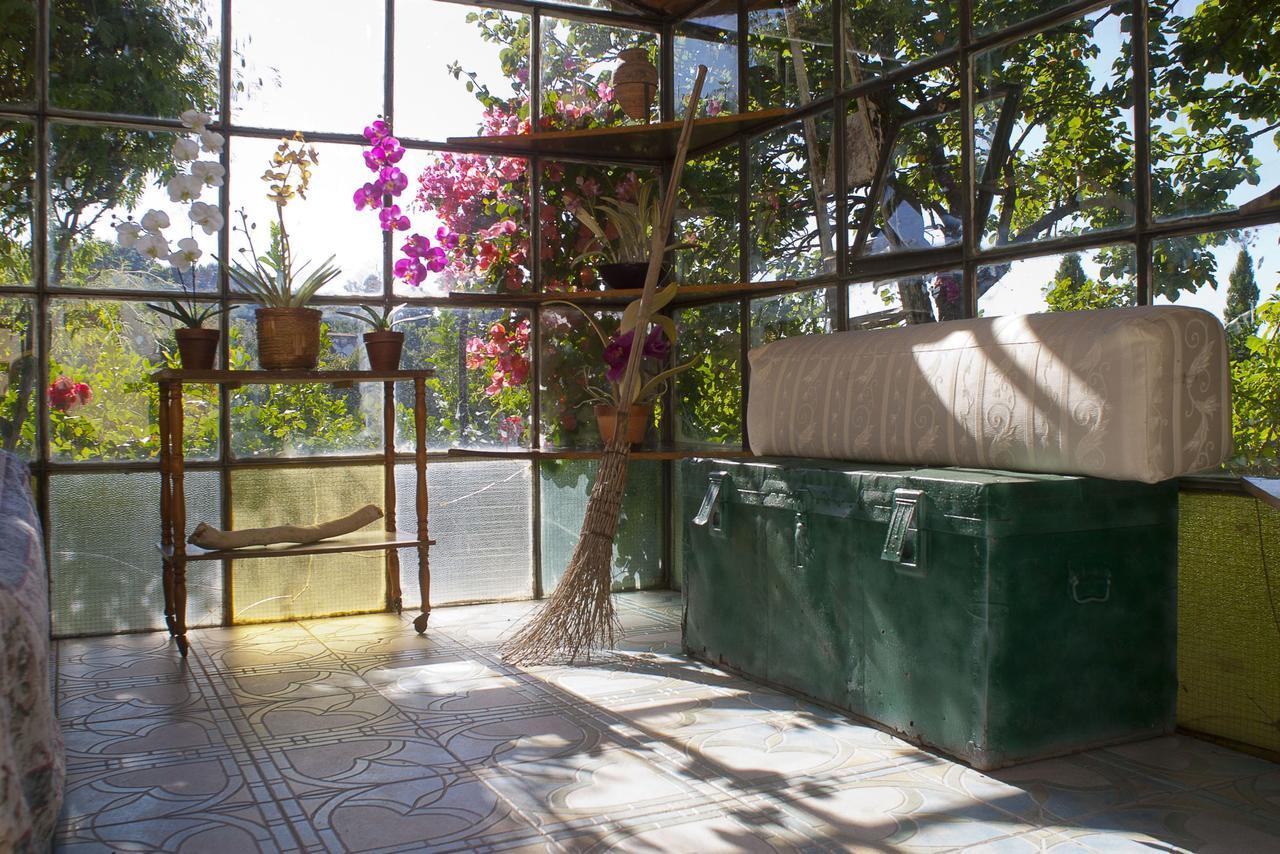 Resort Villa Flavio Casamicciola Terme Dış mekan fotoğraf