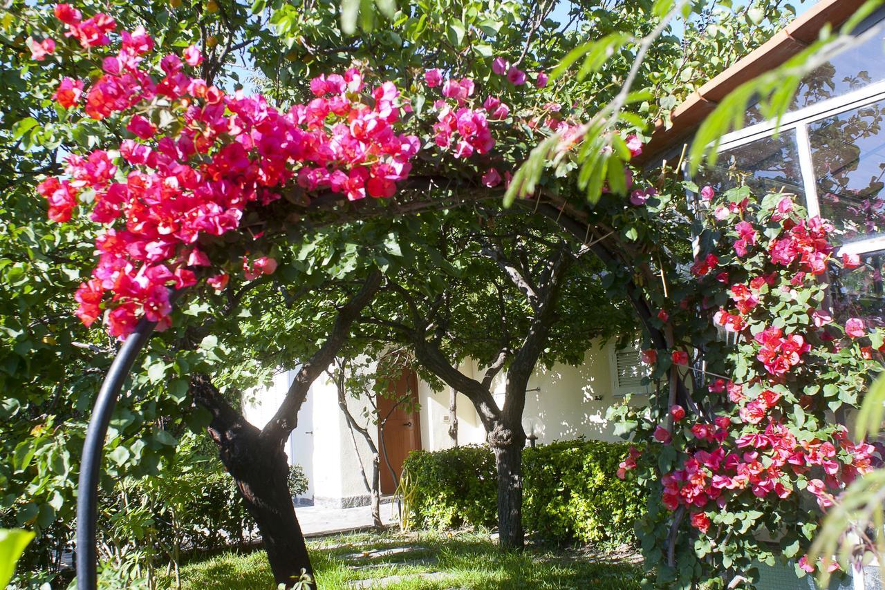 Resort Villa Flavio Casamicciola Terme Dış mekan fotoğraf