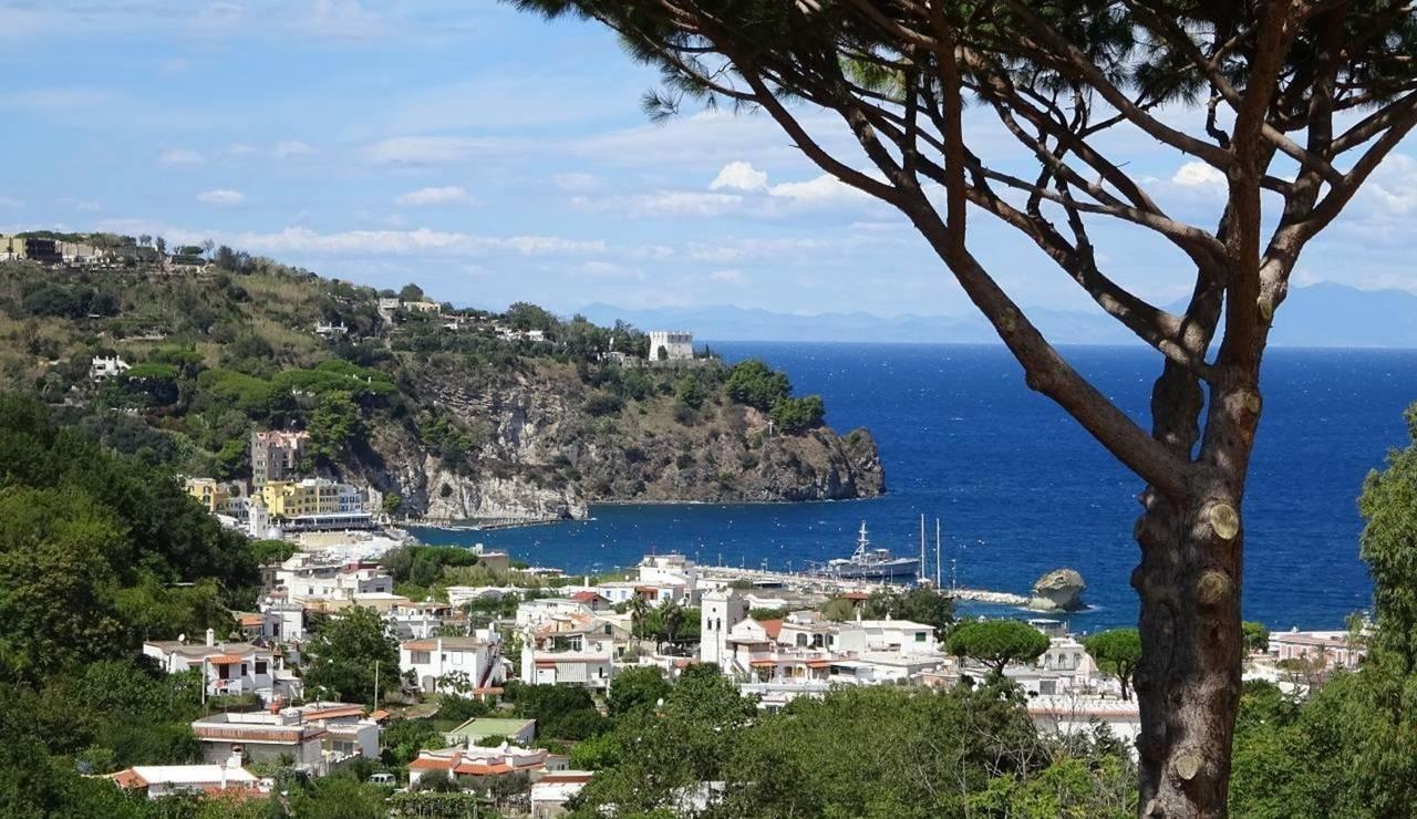 Resort Villa Flavio Casamicciola Terme Dış mekan fotoğraf